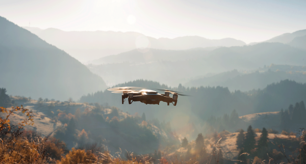 Unbewaffnete Drohne fliegt über Wald