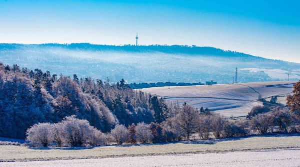 Blick auf die winterliche Landschaft rund um die Hohe Wurzel bei Wiesbaden. Frostbedeckte Felder und Wälder liegen unter einem klaren blauen Himmel, im Hintergrund ist der markante Fernmeldeturm auf der Hohen Wurzel zu sehen. Das Gebiet ist Teil des Wiederaufforstungsprojekts von Fink & Fuchs im Rahmen der Ökoprofit-Zertifizierung.