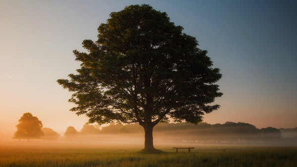 Header - Nachhaltigkeit